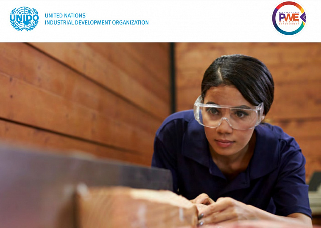 ЮНИДО представила результаты опроса об оценке воздействия COVID-19 на женщин и предпринимателей в производственном секторе и сфере производственных услуг